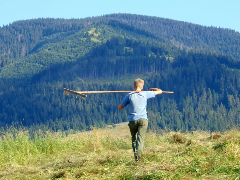 Sparen mit wenig Geld